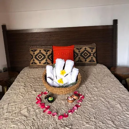 Afrikan Krisant Tenerife, Ecologica Arafo