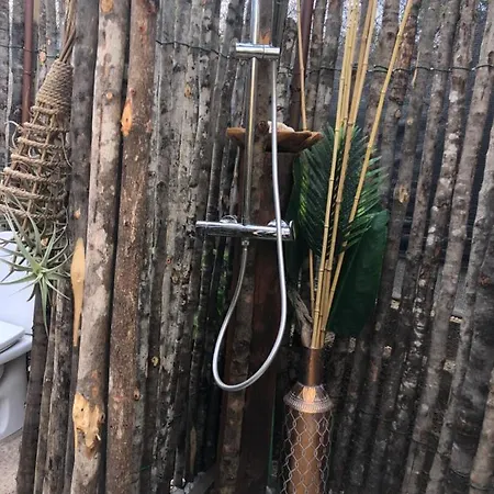 Villa Afrikan Krisant Tenerife, Ecologica Arafo