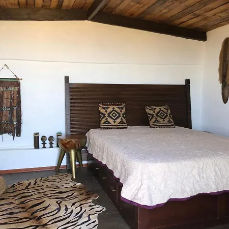 Afrikan Krisant Tenerife, Ecologica Villa Arafo