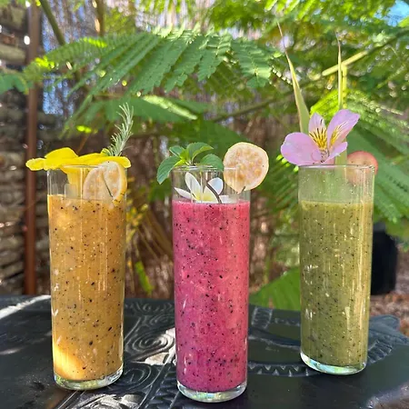 Afrikan Krisant Tenerife, Ecologica