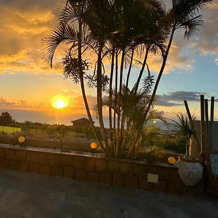 Afrikan Krisant Tenerife, Ecologica *