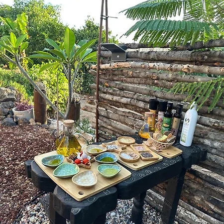 Afrikan Krisant Tenerife, Ecologica * Arafo