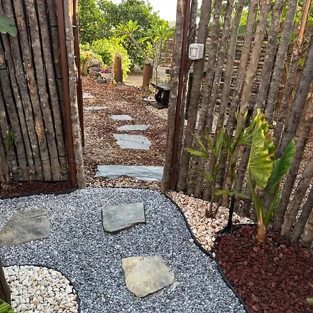 Afrikan Krisant Tenerife, Ecologica * Arafo