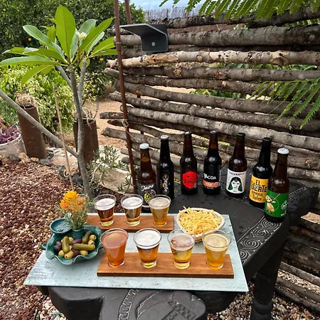 Afrikan Krisant Tenerife, Ecologica