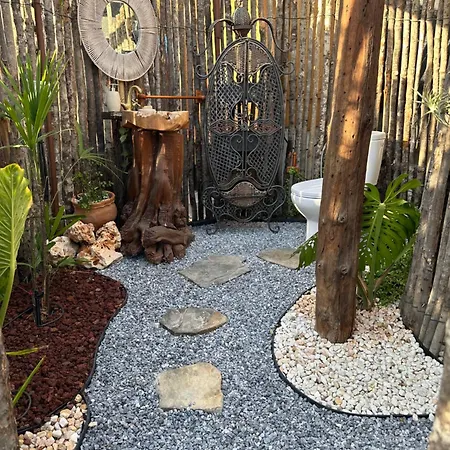 Afrikan Krisant Tenerife, Ecologica Villa Arafo