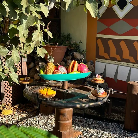 Afrikan Krisant Tenerife, Ecologica *