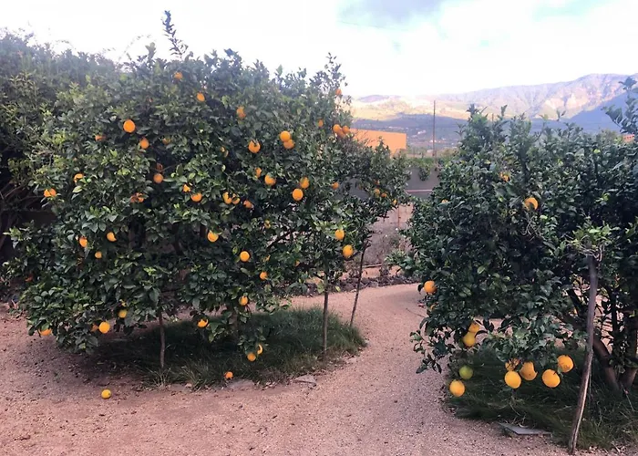 Afrikan Krisant Tenerife, Ecologica Villa *