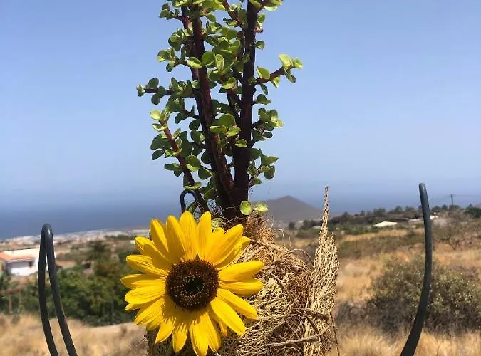 Villa Afrikan Krisant Tenerife, Ecologica