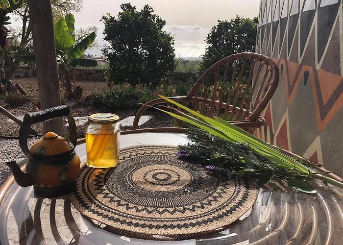 Afrikan Krisant Tenerife, Ecologica *