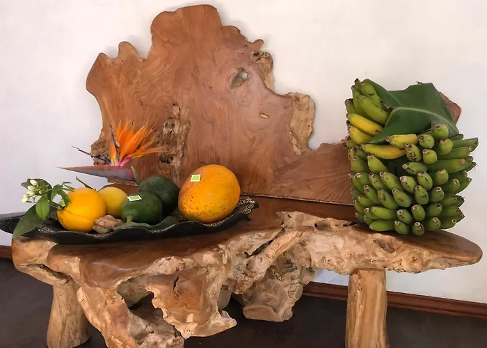 Afrikan Krisant Tenerife, Ecologica Villa Arafo