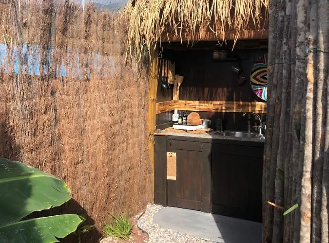 Afrikan Krisant Tenerife, Ecologica Villa