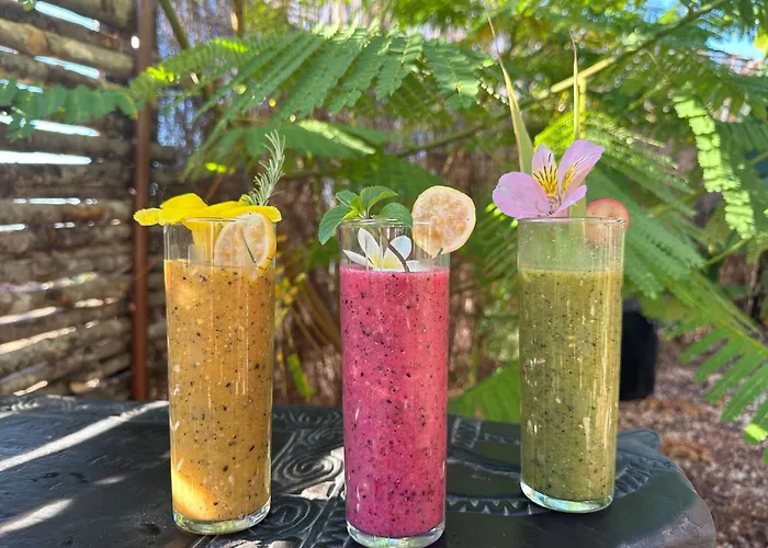 Afrikan Krisant Tenerife, Ecologica