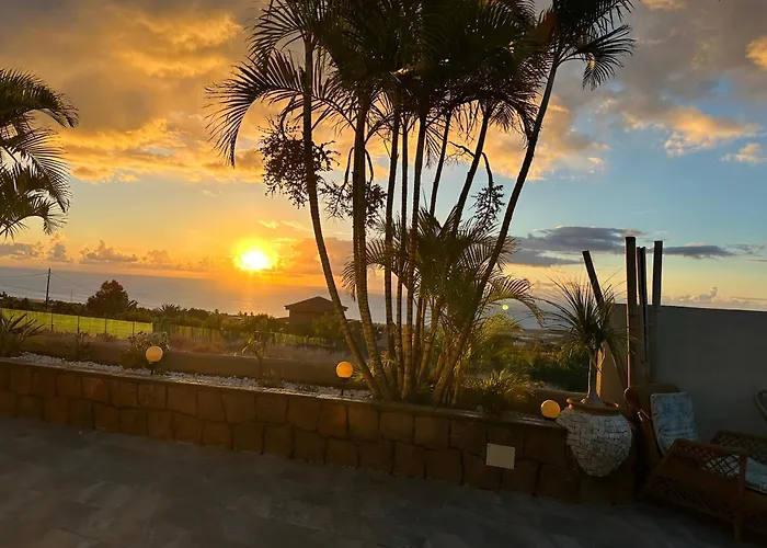 Afrikan Krisant Tenerife, Ecologica *