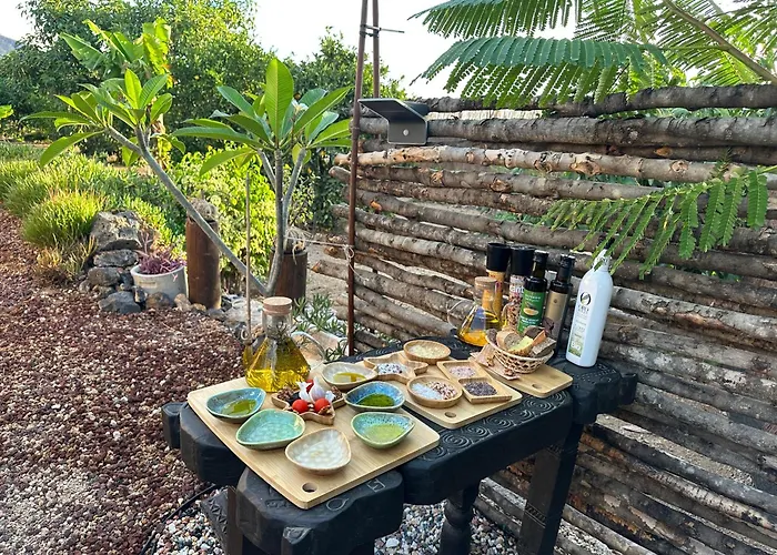 Afrikan Krisant Tenerife, Ecologica * Arafo