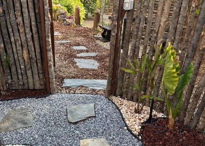 Afrikan Krisant Tenerife, Ecologica * Arafo