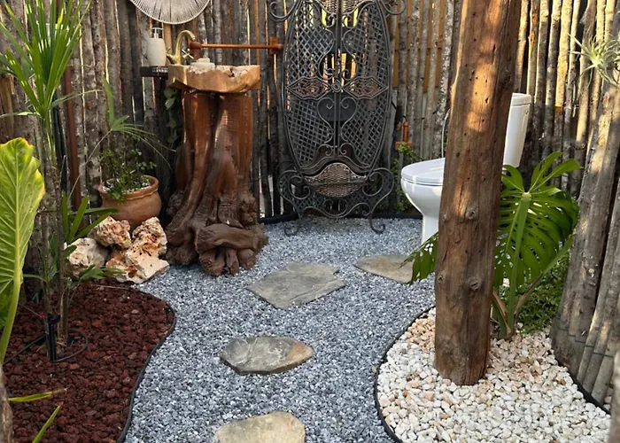 Afrikan Krisant Tenerife, Ecologica Villa Arafo