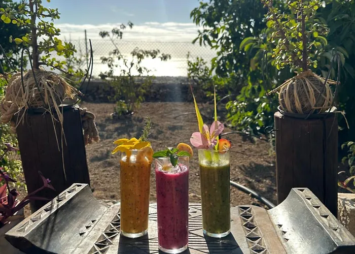 Afrikan Krisant Tenerife, Ecologica * Arafo