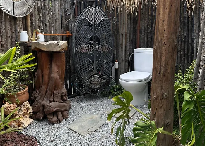 Afrikan Krisant Tenerife, Ecologica