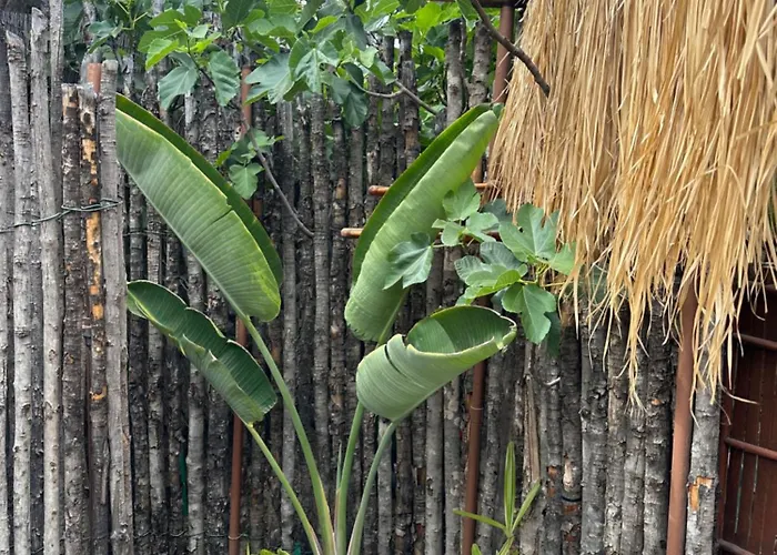 Villa Afrikan Krisant Tenerife, Ecologica Arafo