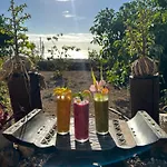 Afrikan Krisant Tenerife, Ecologica * Arafo