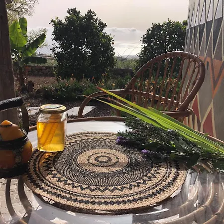 Afrikan Krisant Tenerife, Ecologica *