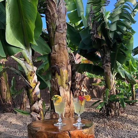 Villa Afrikan Krisant Tenerife, Ecologica