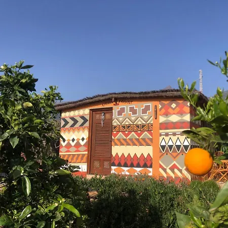 Afrikan Krisant Tenerife, Ecologica