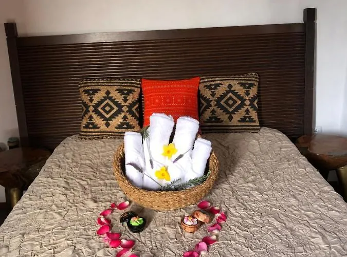 Afrikan Krisant Tenerife, Ecologica Arafo