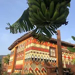 Afrikan Krisant Tenerife, Ecologica