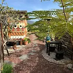 Villa Afrikan Krisant Tenerife, Ecologica
