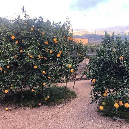 Afrikan Krisant Tenerife, Ecologica וילה *