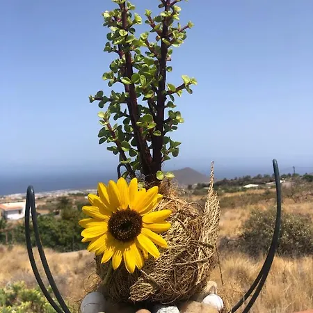 וילה Afrikan Krisant Tenerife, Ecologica