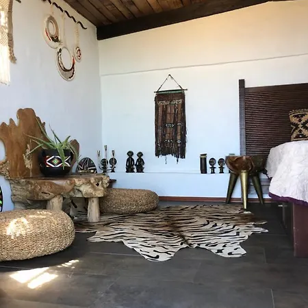 Afrikan Krisant Tenerife, Ecologica וילה ארפו