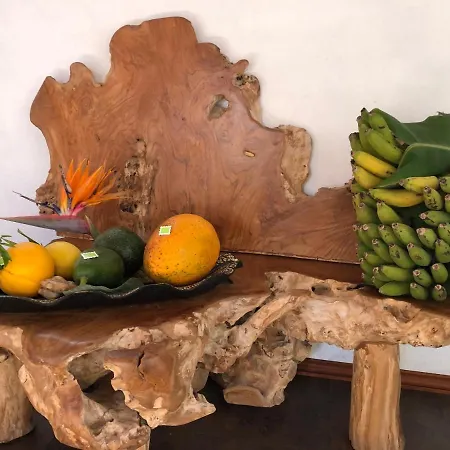 Afrikan Krisant Tenerife, Ecologica וילה ארפו