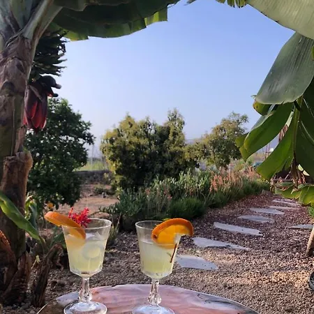 וילה Afrikan Krisant Tenerife, Ecologica *