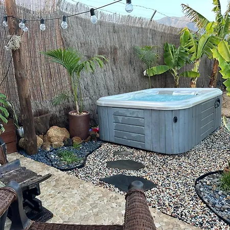 Afrikan Krisant Tenerife, Ecologica * ארפו