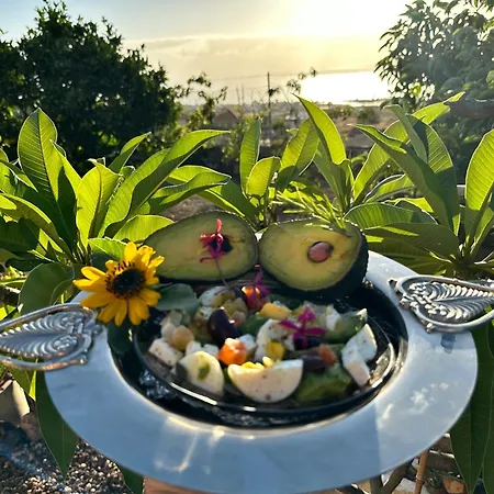 Afrikan Krisant Tenerife, Ecologica וילה