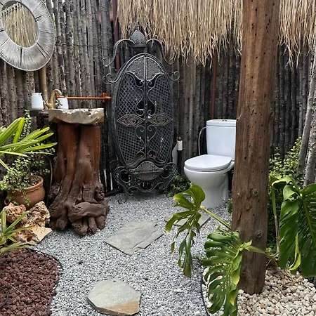 Afrikan Krisant Tenerife, Ecologica